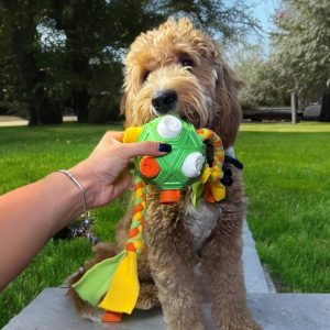 Snuffle ball with ropes, Dog puzzle, mentally stimulating toys for dogs